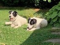 IMG_0725