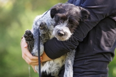 Alfie-36