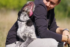 Alfie-8