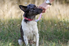 Annie-1
