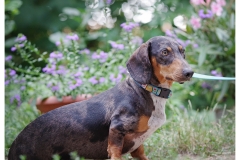 Arthur-6
