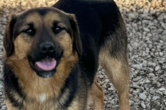 Blacky-1