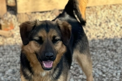 Blacky-2