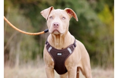 2025.10.25-100 2025.10.25-100