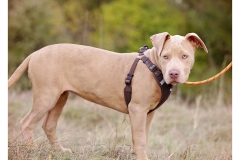 2025.10.25-81 2025.10.25-81