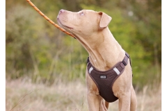 2025.10.25-85 2025.10.25-85