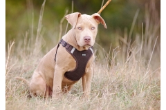 2025.10.25-89 2025.10.25-89