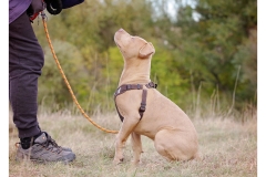 2025.10.25-92 2025.10.25-92