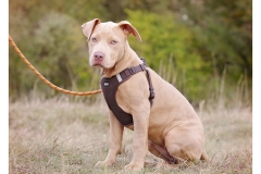 2025.10.25-94 2025.10.25-94