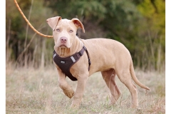 2025.10.25-98 2025.10.25-98