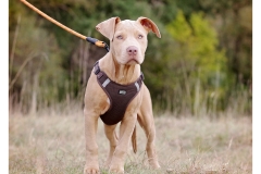 2025.10.25-99 2025.10.25-99