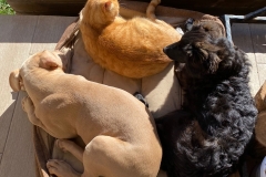 WhatsApp-Bild-2025-10-29-um-20.30.23_2ea2c35c WhatsApp-Bild-2025-10-29-um-20.30.23_2ea2c35c