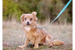 2025.10.25-254 2025.10.25-254