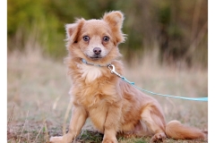 2025.10.25-262 2025.10.25-262