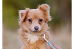 2025.10.25-265 2025.10.25-265