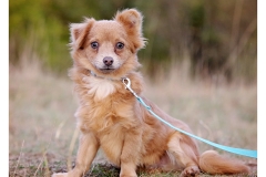 2025.10.25-267 2025.10.25-267