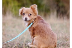 2025.10.25-268 2025.10.25-268