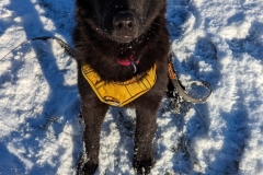 Coco_0202