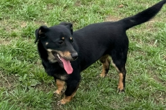 Ella-2