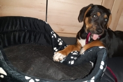 IMG-20191118-WA0005