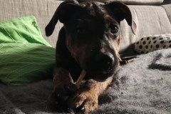 IMG-20190519-WA0016