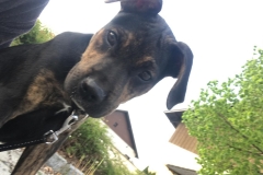 IMG-20190519-WA0018