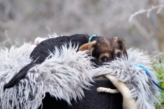 2024.12.31-6