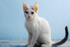 Irina-13