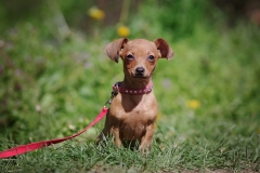 2024.04.05-367