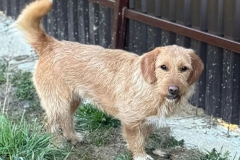 254_542694329-1