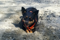 Leah-2