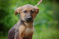 Leonie2024.06.02-226