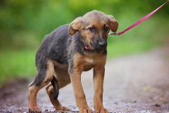 Leonie2024.06.02-240