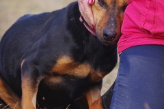 Liliana-3