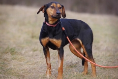 Liliana-7