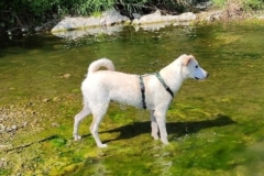 IMG-20251006-WA0004