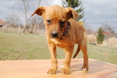 Lotti (3)
