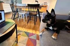 Netti-Lucy-3