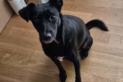 15b962cd-a497-4425-8ecd-b7539f2eadbc