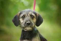 Magda2024.06.02-286
