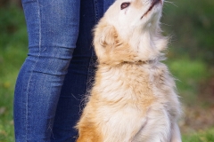 Max-7