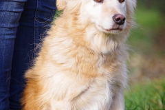 Max-8