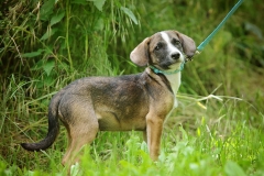 Maxi2024.06.02-344