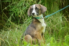 Maxi2024.06.02-345