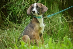 Maxi2024.06.02-346
