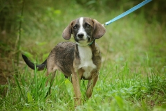Maxi2024.06.02-347