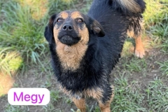 Meggy-4