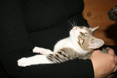 Missy-2