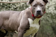 Nala-12