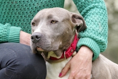 Nala-20